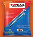 NAIL 2 INCH -TT (T)