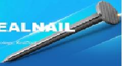 NAIL 2.5 INCH (T)